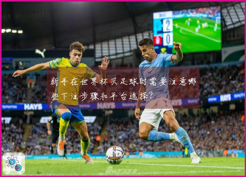 新手在世界杯买足球时需要注意哪些下注步骤和平台选择？