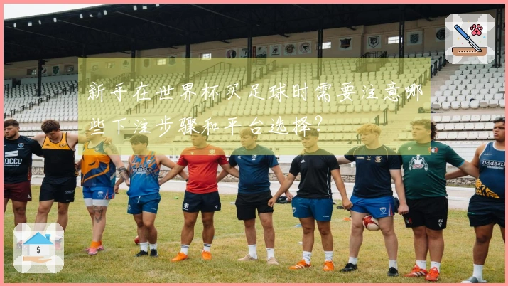 新手在世界杯买足球时需要注意哪些下注步骤和平台选择？