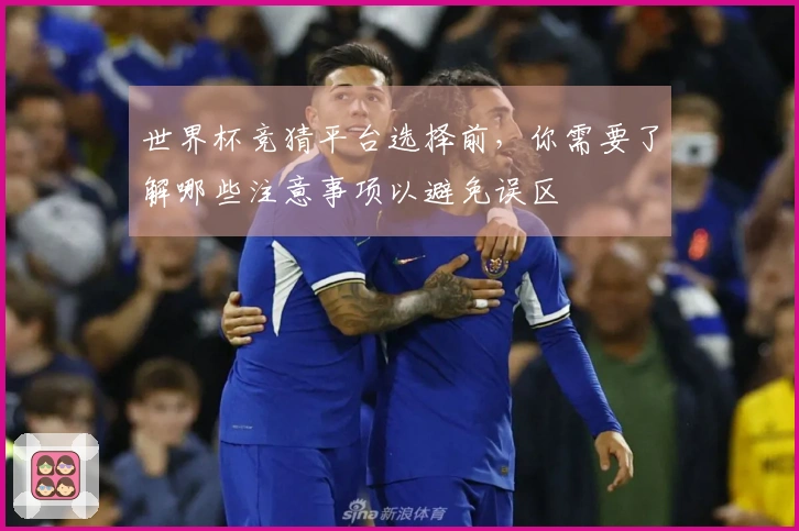 世界杯竞猜平台选择前，你需要了解哪些注意事项以避免误区